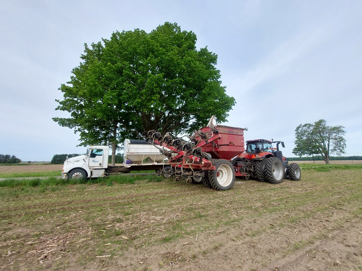 MitchpRTaggie's tweet photo. Sidedressing season rolls on ! The push is on with rain in the Forcast. Hard to beat the team at @SWAG_Ridgetown . They know how to keep the wheels rolling ! https://t.co/y7B4DhBvgs