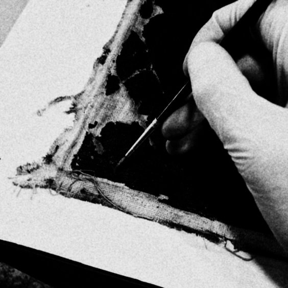 𝑻𝑬𝑱𝑨. tweet media