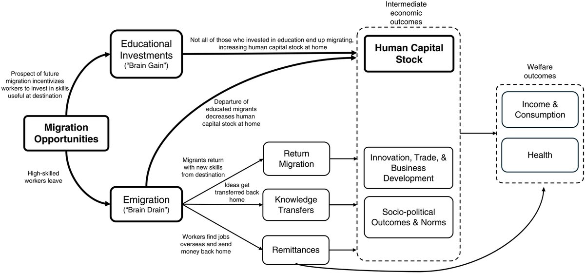 novafrica's tweet photo. Challenging conventional wisdom about #BrainDrain -- the idea that high-skilled emigration is a loss for origin countries.
The article provides theoretical framework + review of rigorous #CausalEvidence.
➡️ With the right policies, countries can turn brain drain into brain gain! https://t.co/8qkg0o36ll