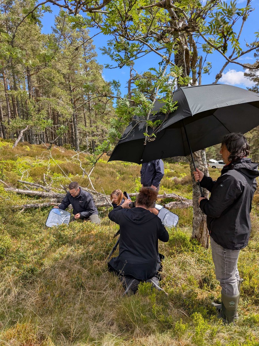 Jellymedia (@jellymedia) on Twitter photo After a bright and early 5am start, our team have arrived here in the Cairngorms! 🏴
We are set up and shooting with <a href="/marvelouseurope/">Marvelous Europe</a> & <a href="/rzss/">Royal Zoological Society of Scotland</a> as we check up on the progress of our <a href="/MCV_DEVELOP/">MCV/DEVELOP</a> award winning Pine Hoverfly partnership! 🪰
jellymedia.com/case-study/sto… After a bright and early 5am start, our team have arrived here in the Cairngorms! 🏴
We are set up and shooting with <a href="/marvelouseurope/">Marvelous Europe</a> & <a href="/rzss/">Royal Zoological Society of Scotland</a> as we check up on the progress of our <a href="/MCV_DEVELOP/">MCV/DEVELOP</a> award winning Pine Hoverfly partnership! 🪰
jellymedia.com/case-study/sto…