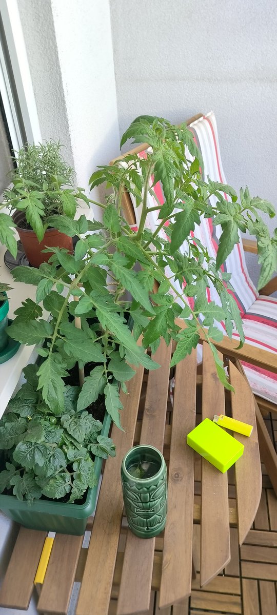 Обожаю эти пятничные вечера