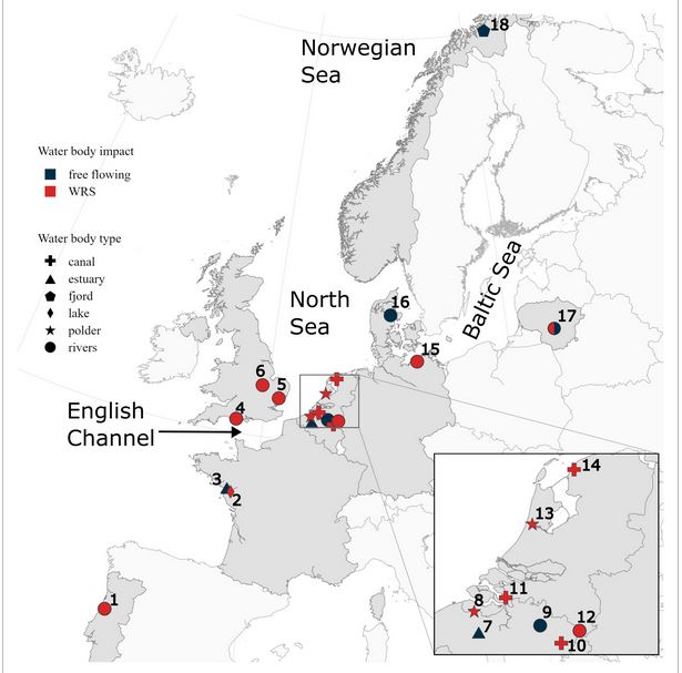 LifewatchBE's tweet image. A first, very nice example of how #LifeWatch ETN can be used for meta-analyses & collaborative research! Meta-analysis of tracking data reveals variable arrival times of European eels at sea for spawning, influenced by migration speed & geographic location
tinyurl.com/mrc46dps