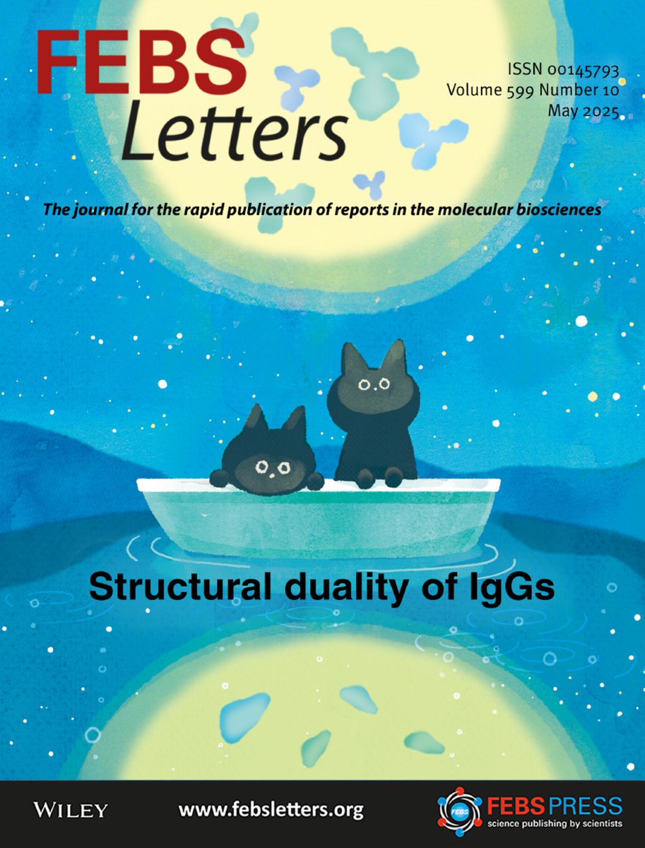 FEBS_Letters's tweet photo. 🔔 New issue! 🌿 Articles on #PlantBiology and more:

🖊️  Patient Advocacy: Improving lives of those affected by #DNArepair disorders 
✳️  Editor's Choice: Regulation of #chloroplast signal recognition particle by (p)ppGpp 
🎨   On the Cover: Structural duality of #IgGs 

➡️  https://t.co/MCjrKruFsW