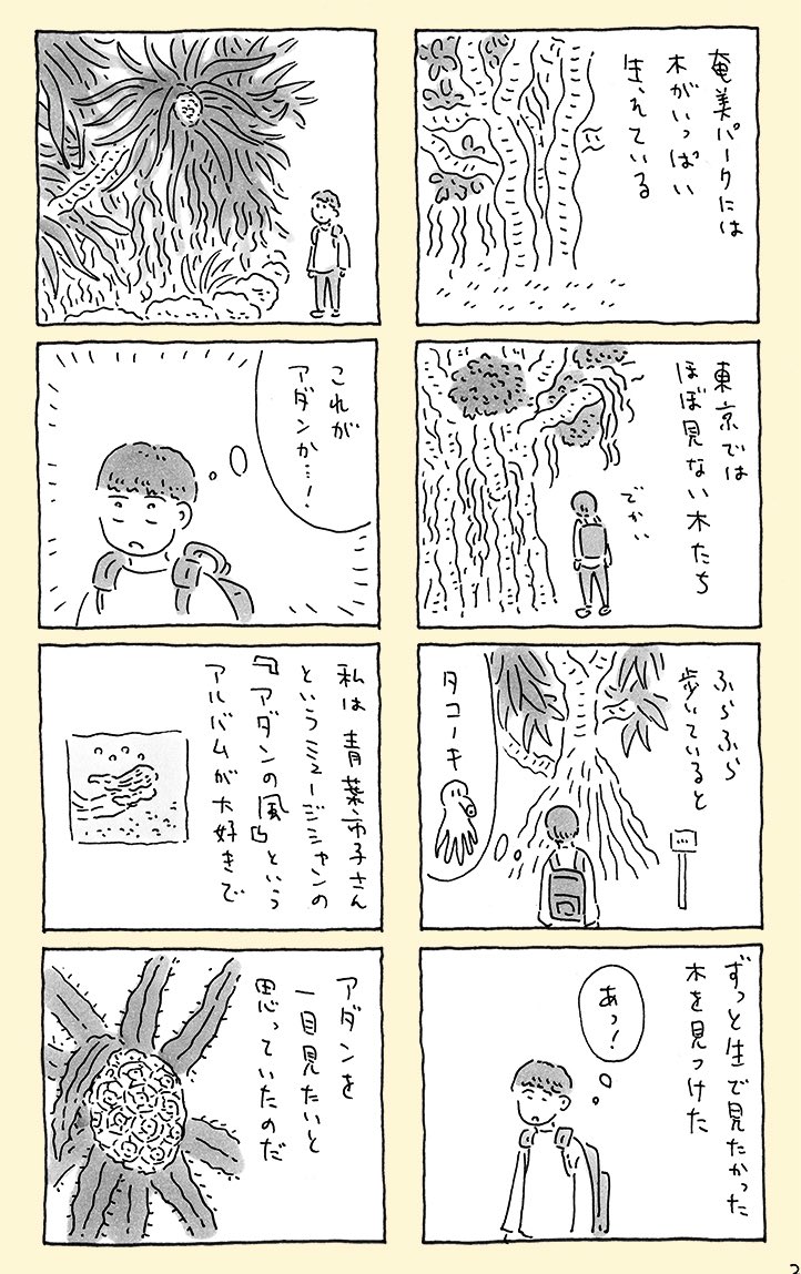 奄美大島にあるバケモノみたいな木 【1/3】 