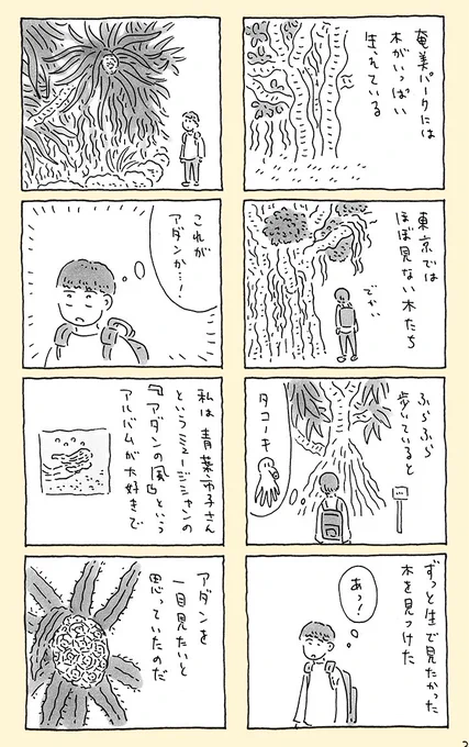 奄美大島にあるバケモノみたいな木 【1/3】 