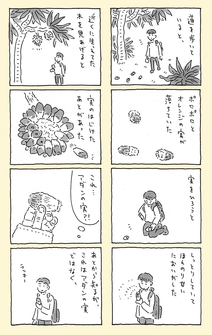 奄美大島にあるバケモノみたいな木 【2/3】 