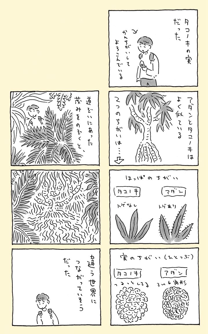 奄美大島にあるバケモノみたいな木 【2/3】 