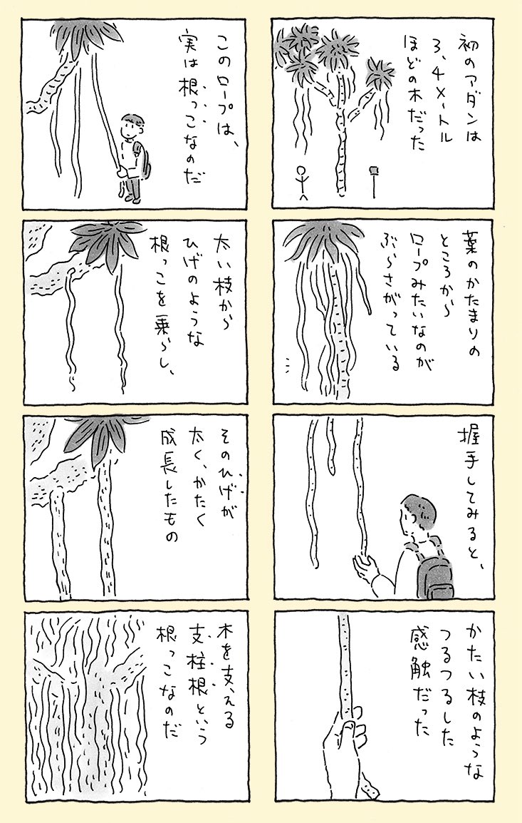 奄美大島にあるバケモノみたいな木 【2/3】 
