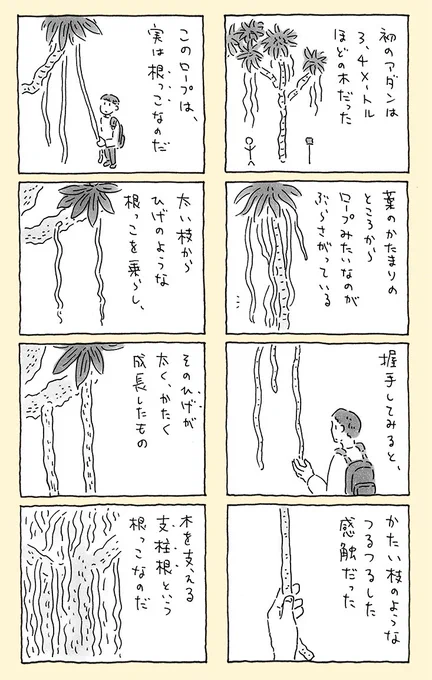 奄美大島にあるバケモノみたいな木 【2/3】 