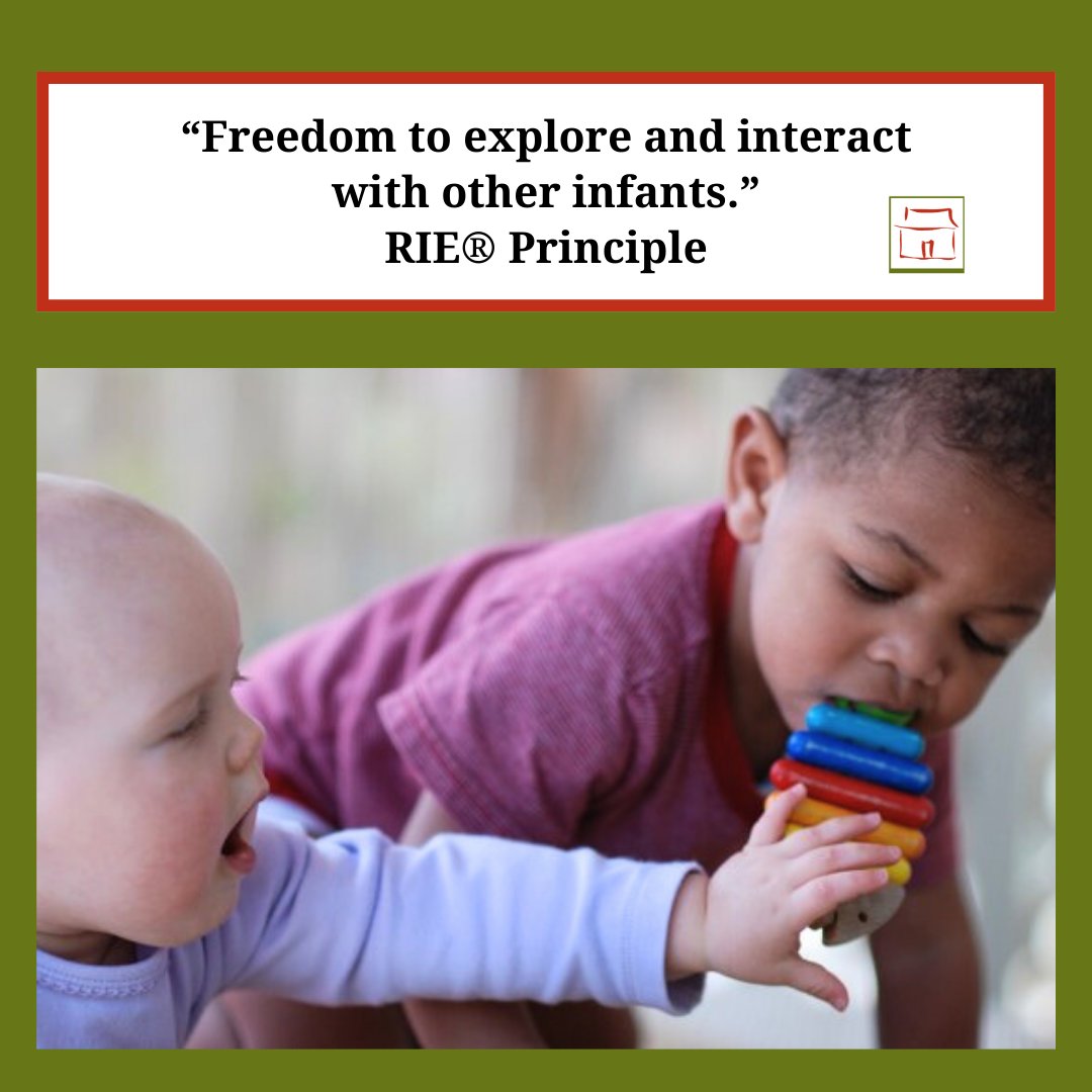 BEINGwithBABIES's tweet image. “Freedom to explore and interact with other infants.” — RIE® Principle

 What happens when children are free to explore and connect with each other?

 #InfantSocialization #FreedomToExplore  #RIEPrinciples