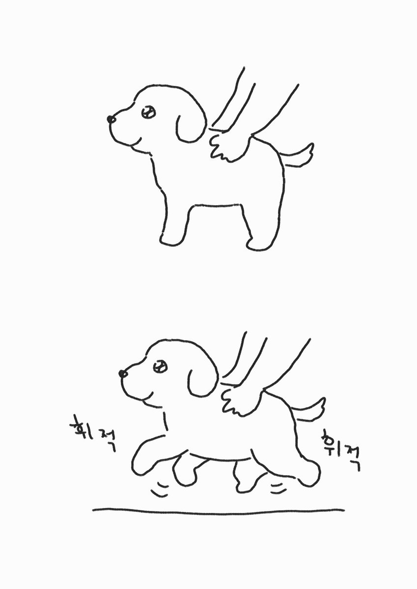 가나쥐 바닥에 닿기 직전의 높이로 들고잇으면 헛발질하는 게 넘 웃교요