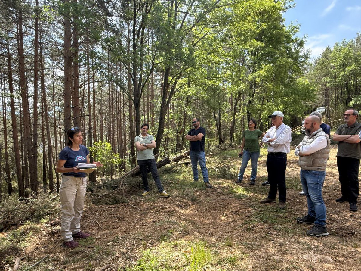 🌲 Comencen els treballs d'un projecte forestal de mitigació i adaptació al canvi climàtic a la Vall de Lord, al Solsonès.

🏞 Mitjançant el nou Sistema de Crèdits Climàtics, en què empreses i institucions poden oferir suport econòmic a determinats projectes forestals, ATL