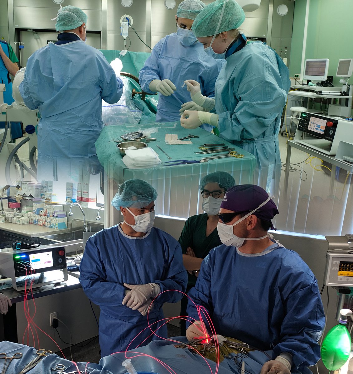 🔬See how the ML7710 laser is used in real oncology cases: bladder, H&amp;N, glioblastoma.
Light is changing cancer care.

🔗 Oncology use cases: modulight.com/applications/o…

🎥 Magic With Light ep. 1: youtu.be/Bz7FHbuSu5w?si…

#Modulight #ML7710 #Oncology #PhotodynamicTherapy #CancerTech