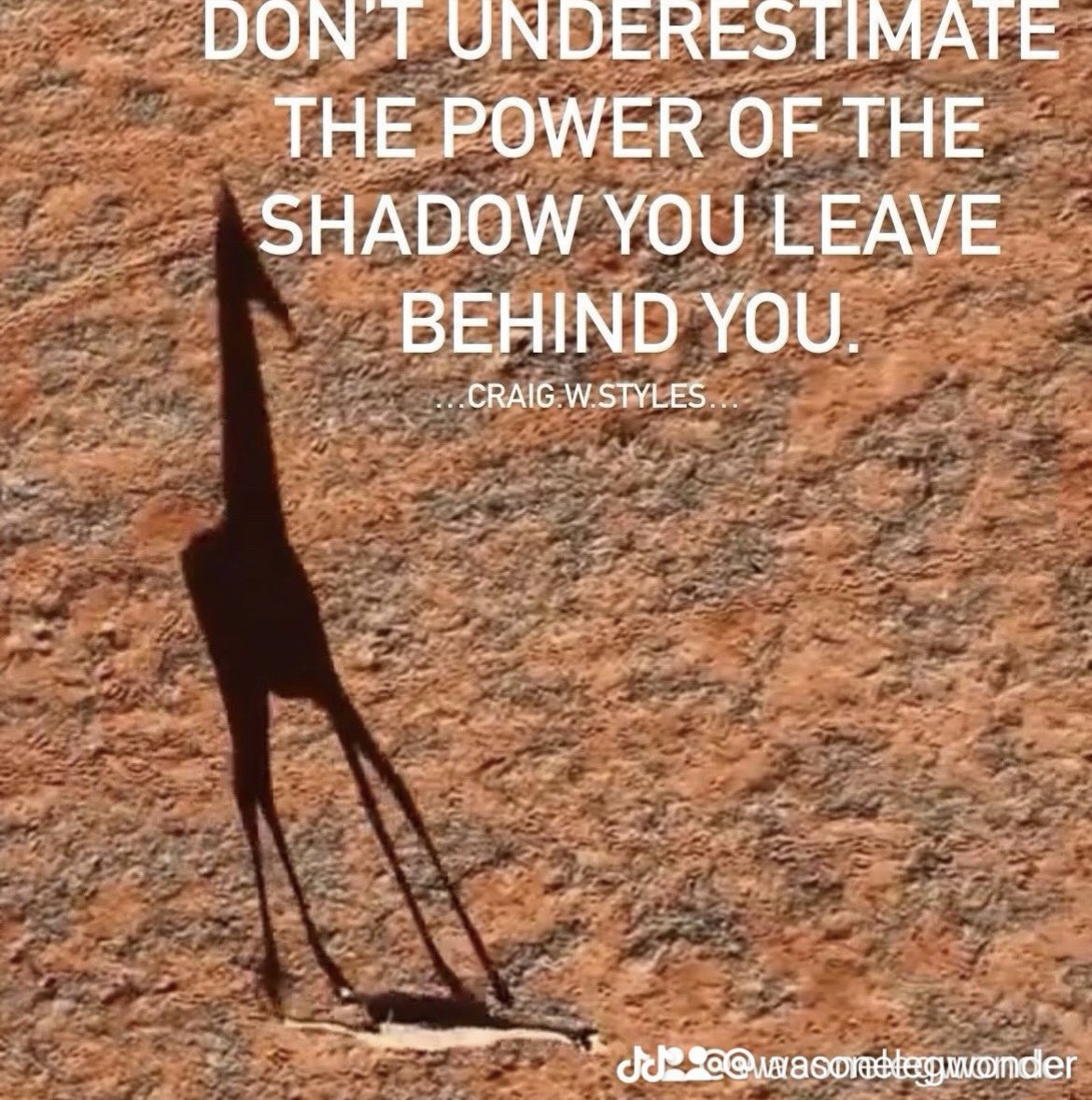 “” THE POWER OF THE SHADOW “”