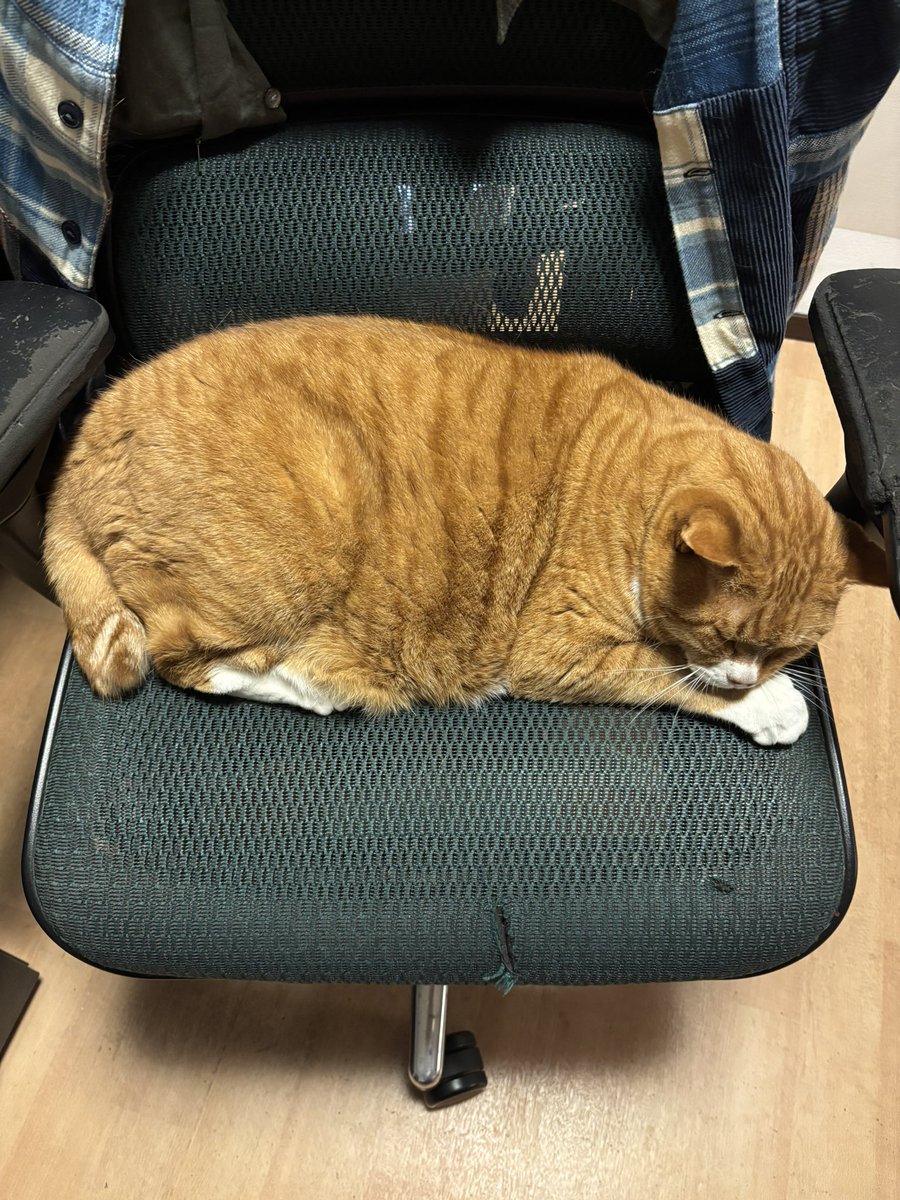 いい加減どいてください…