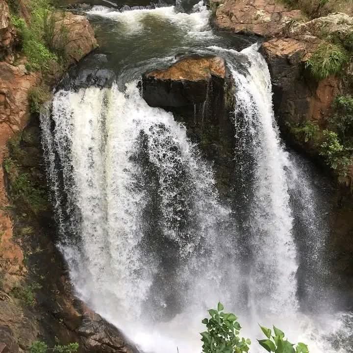 Thembi_Nyathi tweet media