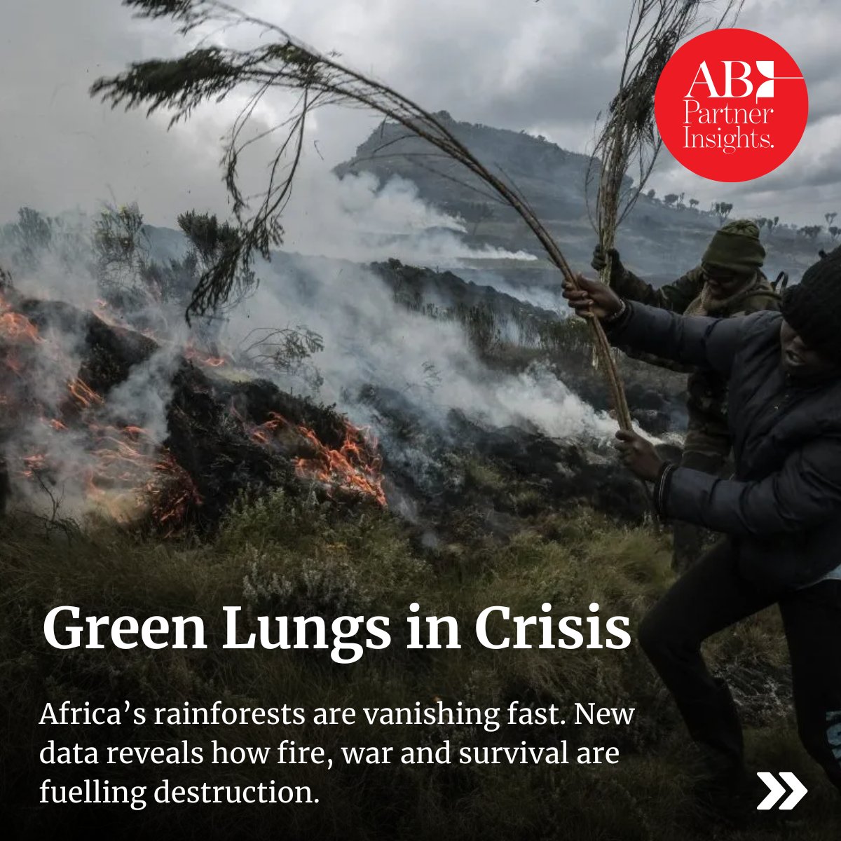 AB Partner Insights (@insights_ab) on Twitter photo 🌍 6.7 million hectares of tropical forest lost in 2024.
That’s 18 football fields a minute.
The Republic of the Congo saw a 150% increase in loss. The DRC? Its worst year ever.
Read more:
african.business/2025/05/resour…
<a href="/AfricanBizMag/">African Business</a>
#ForestLoss #Africa #ClimateEmergency #Rainforest 🌍 6.7 million hectares of tropical forest lost in 2024.
That’s 18 football fields a minute.
The Republic of the Congo saw a 150% increase in loss. The DRC? Its worst year ever.
Read more:
african.business/2025/05/resour…
<a href="/AfricanBizMag/">African Business</a>
#ForestLoss #Africa #ClimateEmergency #Rainforest