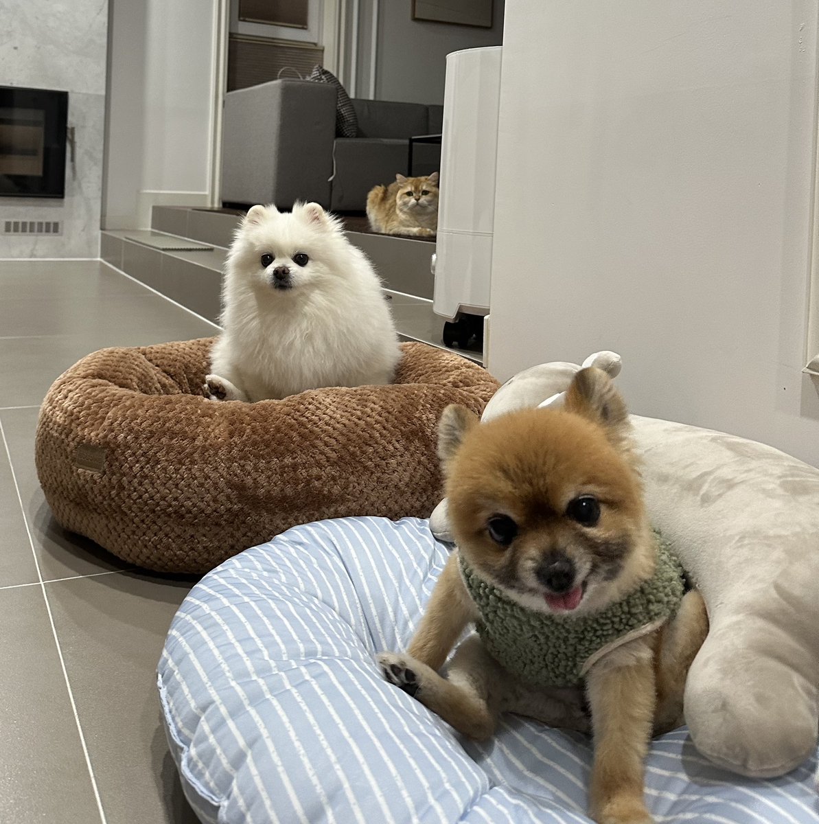 peyz05's tweet image. 크어 아이