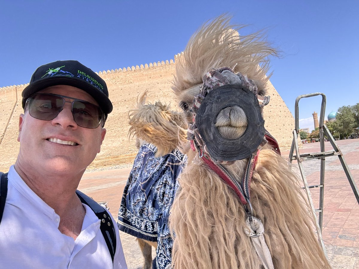 When your camel is having a better hair day than you are.