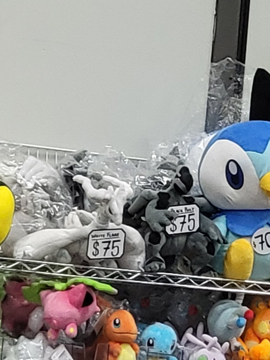 Ohh so that's what those black and white pokemon are called..