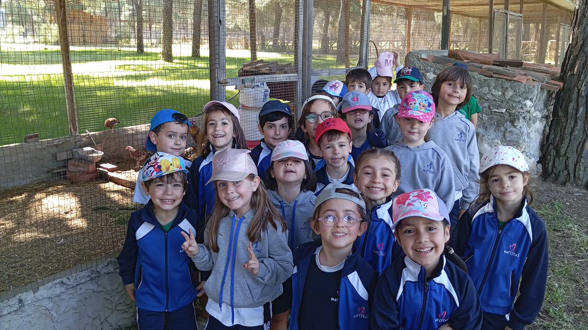 MaristasInmaculadaVa tweet media