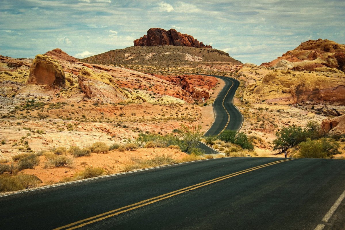 Desert Road Utility Oil is here.

Inspired by the Chihuahuan Desert: hot asphalt, motor oil, worn leather, creosote, and a hint of last night. 

The ride goes on—dusty, bold, unforgettable.

Get it now → bit.ly/4jkrXOM