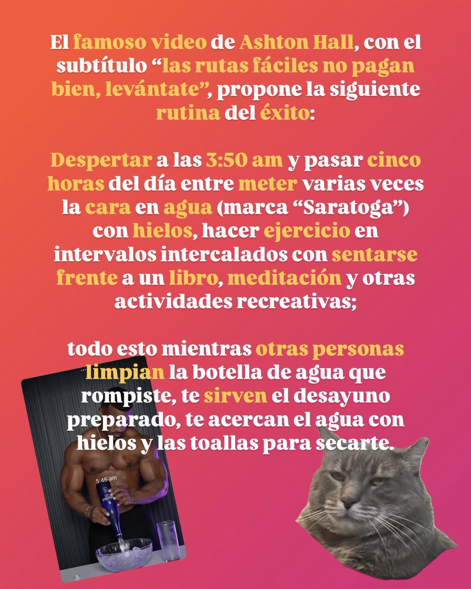 Miau. En la columna de esta semana (acá pueden leer: bit.ly/4kujhq2), “La rutina del éxito: ¿Por qué los ricos creen que son ricos?”, usamos de ejemplo a nuestro amigo Ashton Hall (sí, el de las rutinas extremas en Tiktok) para hablar de las mentiras del billionaire