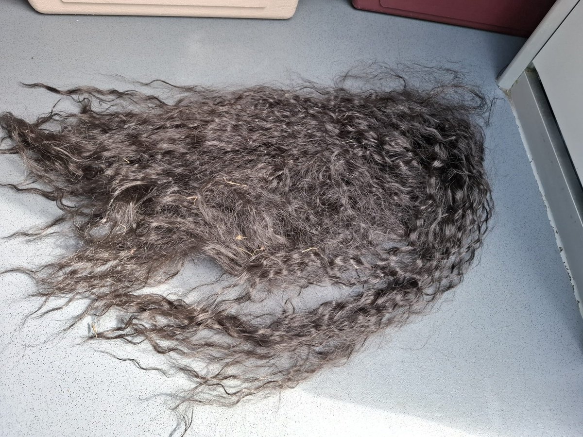 We kregen een melding over een aangereden kat op de Lelylaan. Gelukkig bleek het bij aankomst om iets heel anders te gaan. Het haarstukje maakt het goed.