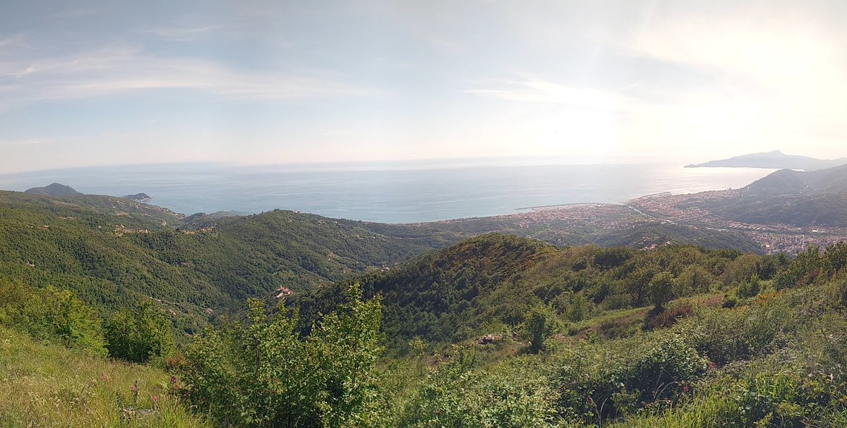 #savethedate 
Sabato 31 maggio ti aspettiamo per un’escursione botanica unica in alta Val Graveglia in compagnia di un’esperta botanica
🌸 Orchidee spontanee, ambienti umidi,zone rupestri e boschi ricchi di biodiversità

👉 Iscrizione obbligatoria entro giovedì 29 maggio sul sito