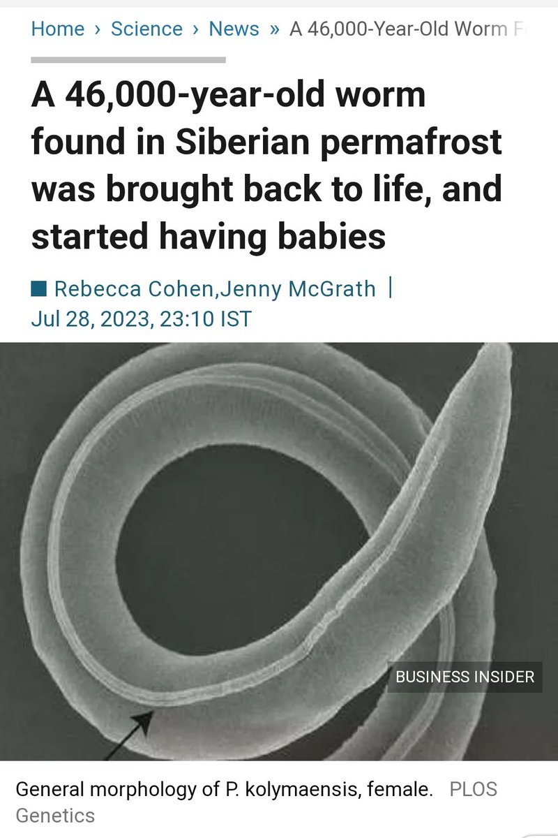 A 46000 year Old Worm was Revived by Scientists and it Started having Babies after being frozen for Tens of thousands of Years..