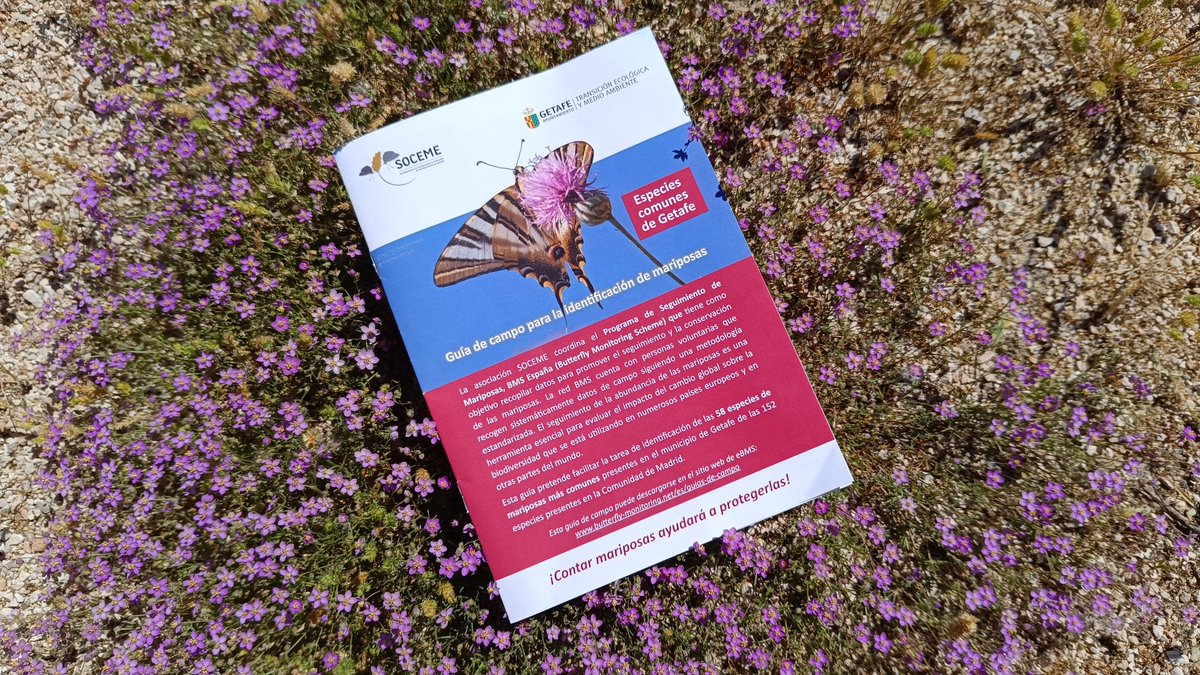 ASBioGetafe's tweet photo. 🟢 La sorpresa de la pasada Semana del Medio Ambiente!

👉 La "Guía de Mariposas comunes de Getafe" que hemos coeditado con @bms.espana y con la colaboración de la Concejalía de Transición Ecológica y Medio Ambiente del @aytogetafe. https://t.co/eX5eGseLl2