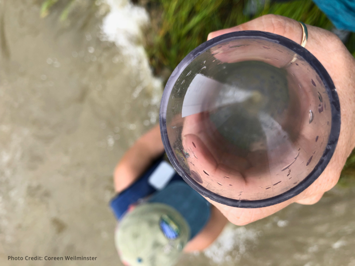NOAADigCoast's tweet photo. Get back into the mindset of a student this summer with a Teachers on the Estuary workshop!
Experience professional development that gets you outside and on the water for immersive, place-based learning.
Check the workshop calendar:
https://t.co/GY2bnxW6Jo #EnviroEd https://t.co/MCs8ytdv01