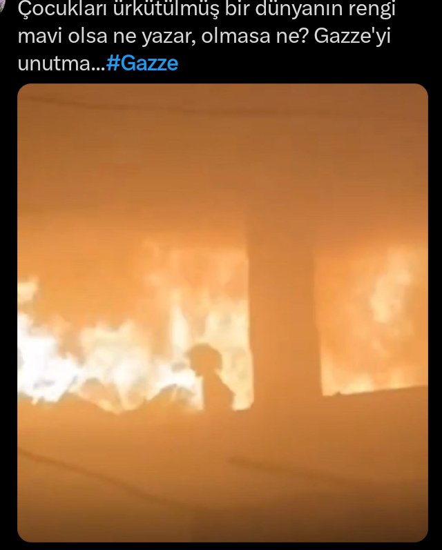 Hiç mi kimse yok.