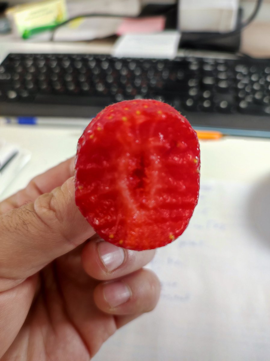 ITabKazan's tweet image. #трудовыебудни