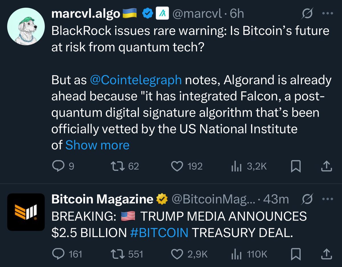 My timeline has a sense of irony 😂