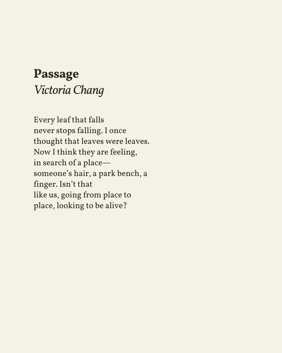 “Isn’t that / like us, going from place to / place, looking to be alive?” 

— Victoria Chang

.
.
.

This poem appeared in The Trees Witness Everything by Victoria Chang, published by Copper Canyon Press, 2022. Shared here with profound gratitude.