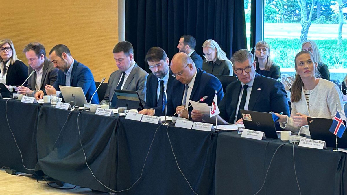 European Parliament Diplomacy (@ep_diplomacy) on Twitter photo 