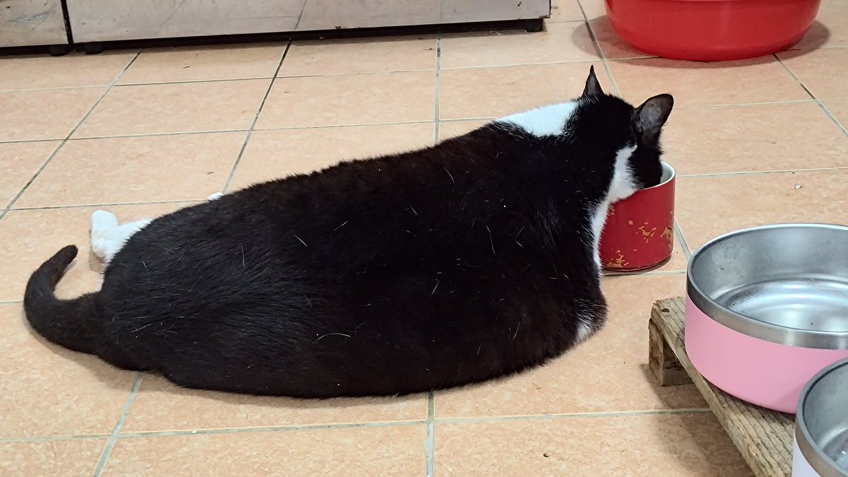 今天去元智參加文學獎會議，結束後進行自我的例行反省時覺得我沒什麼好反省，我讀詩、聊詩的時候仍然快樂且興奮到雙手微微發抖。以一個中年人而言這樣應該算是不錯了吧。