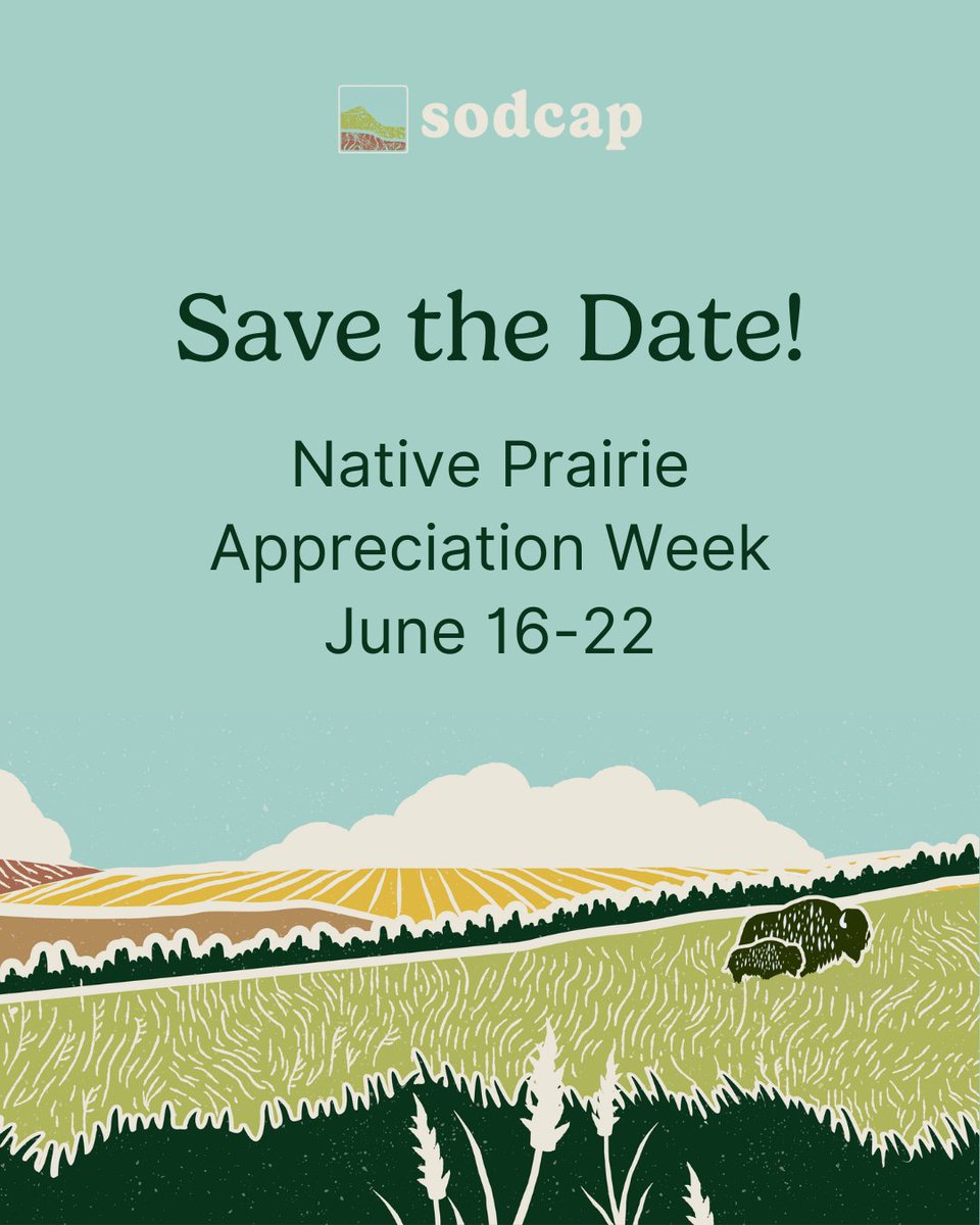 Mark your calendars for June 16–22! Native Prairie Appreciation Week is just around the corner. It’s a time to celebrate the beauty, biodiversity, and importance of our native grasslands. And it’s up to all of us to protect it. Learn more: pcap-sk.org/upcoming-event…