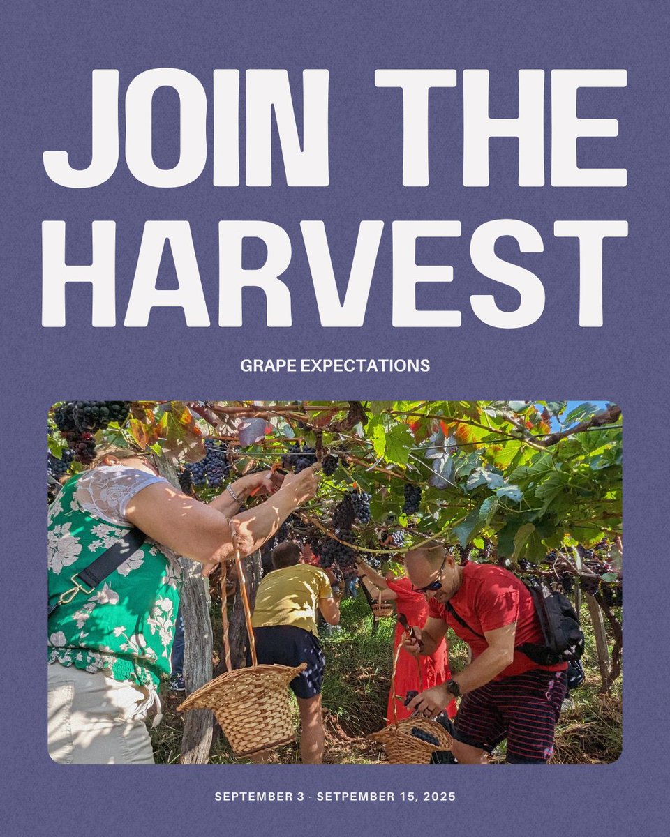 Time is running out! Don't miss the chance to register for our 2025 Grape Expectations group trip🍷🍇🇵🇹
🔗 Click the link in our bio for more info
👉 Contact your travel designer to book!