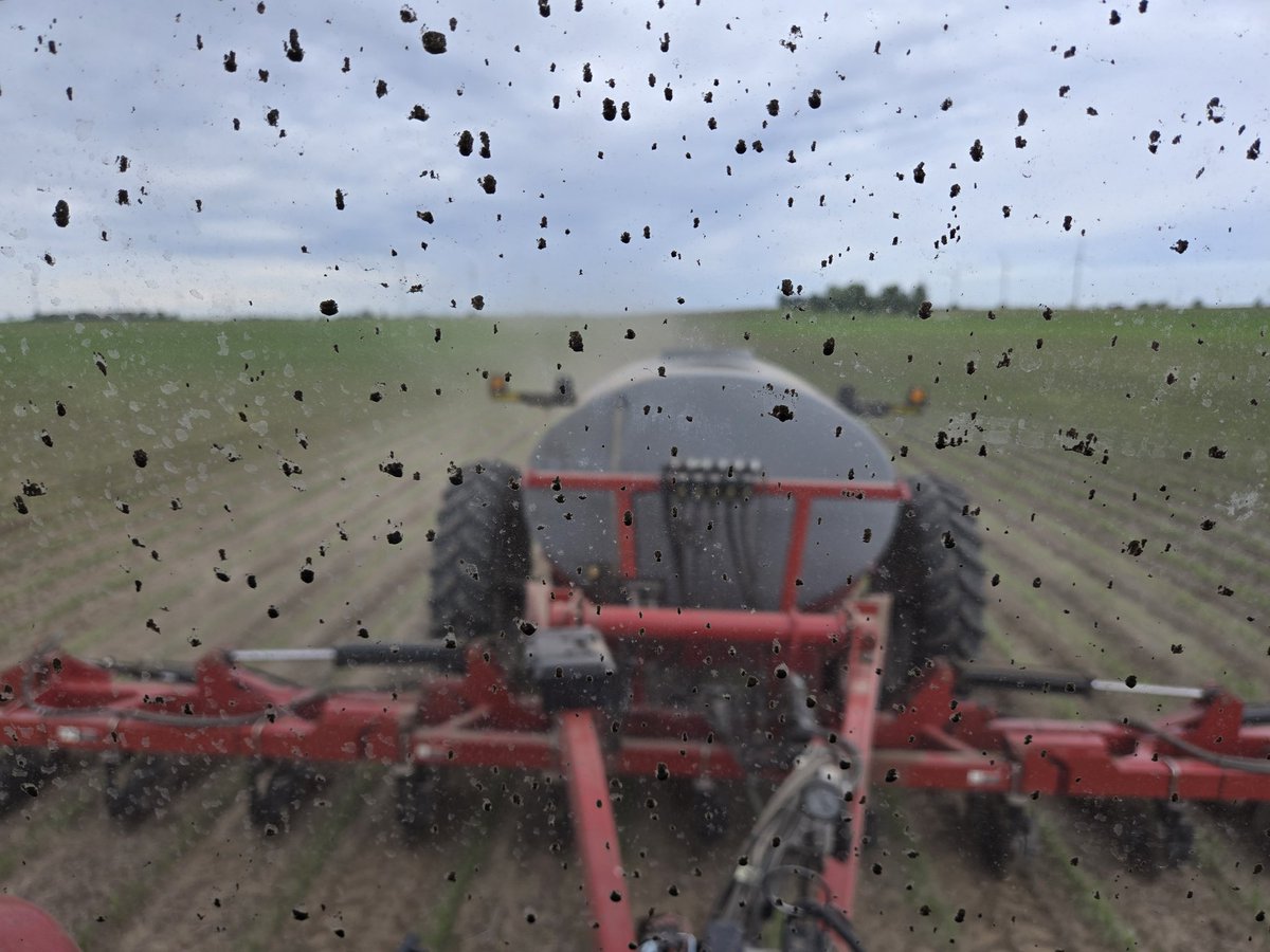 Ryan Deckard tweet media