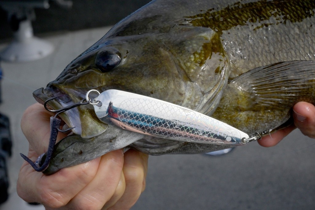 Using spoons for summer bass. 
l8r.it/72ho
