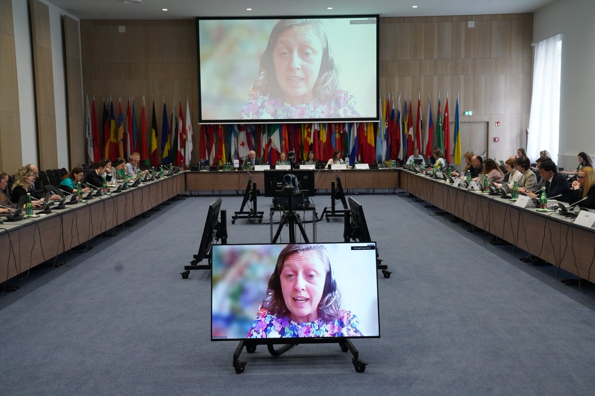 SwedeninATOSCE's tweet photo. Human rights defenders increasingly promote &amp; protect #HumanRights online. Digital tools also pose risks: surveillance, harassment, attacks &amp; censorship - in the OSCE region &amp; beyond. Opportunities &amp; challenges were addressed at today’s @OSCE Human Dimension Committee meeting. https://t.co/vv36EBzkho