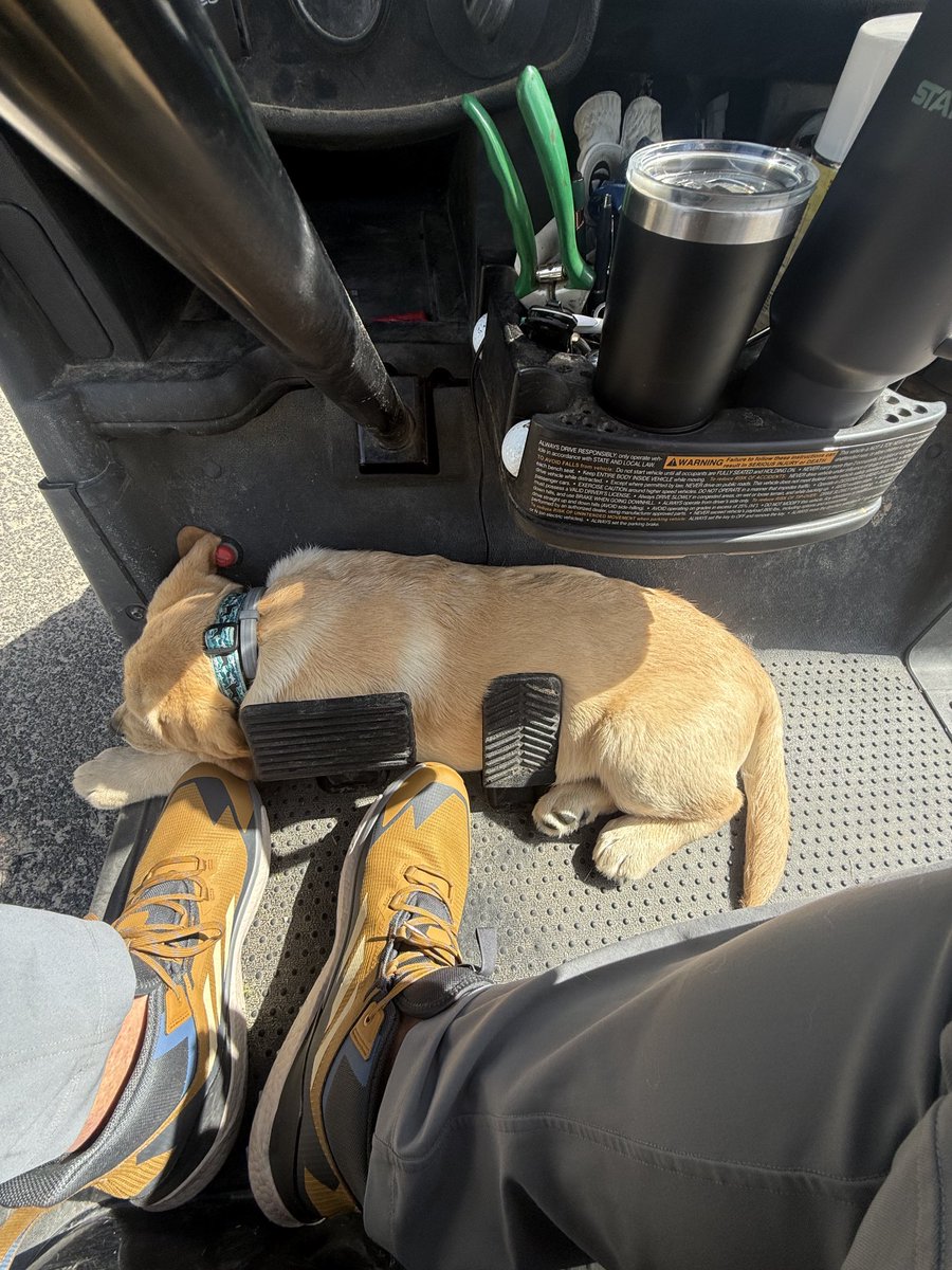 This isn’t going to work Atlas…