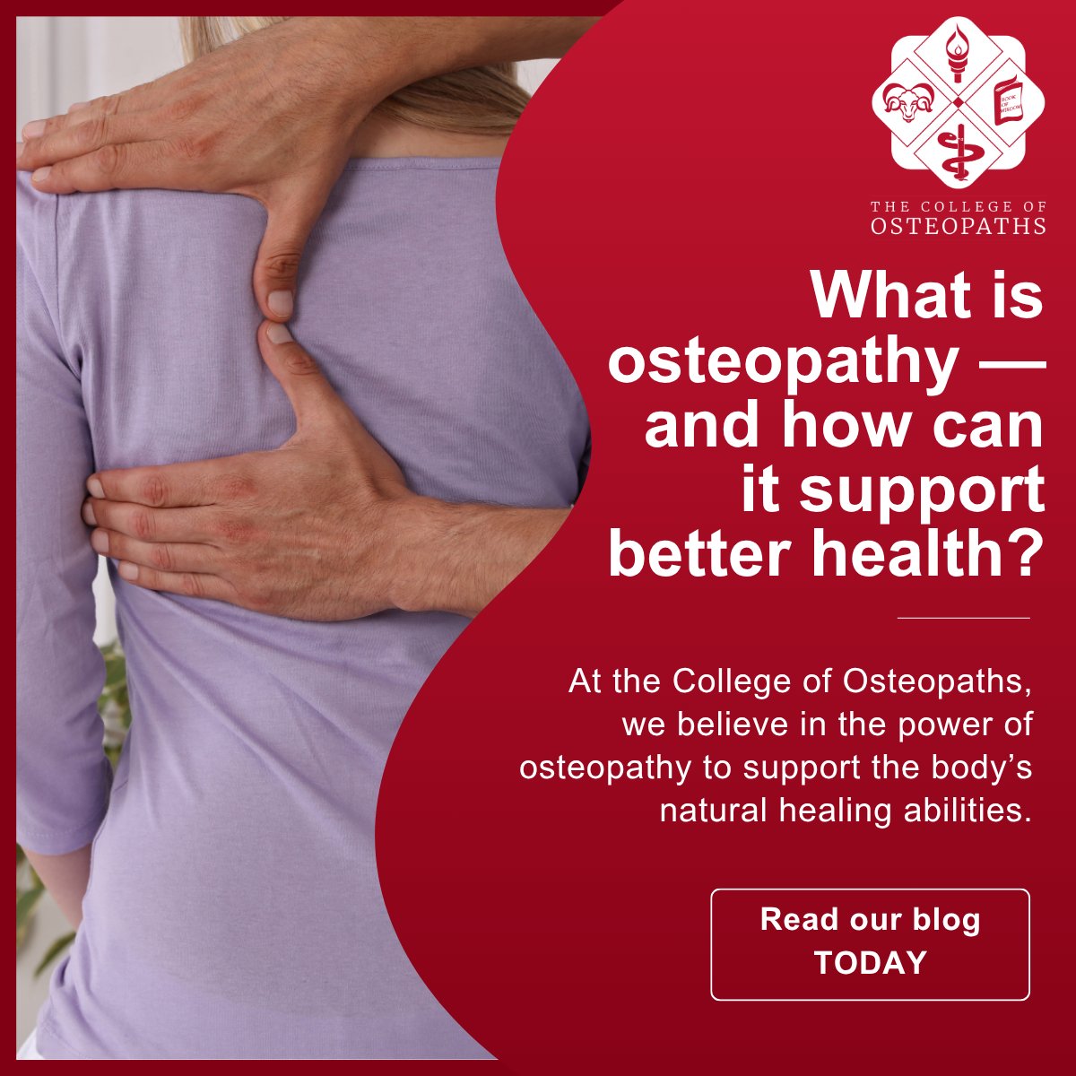 What is osteopathy — and how can it boost your health and wellbeing? 🌿

Discover the holistic benefits of osteopathy in our new blog 👉 bit.ly/45puQKM

#Osteopathy #Health #Wellbeing