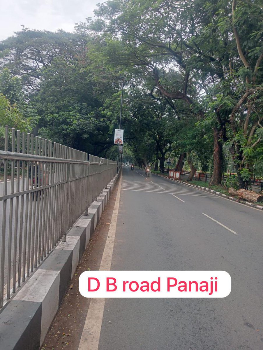 ccpgoa's tweet image. ULB code - 803243
Just like public spaces, maintaining cleanliness on main roads is essential. It adds to the charm of Goa’s natural beauty, especially when walking or driving along scenic routes bordered by lush greenery." See pic of D B road Panaji
#Goatourism  #CleanGoa