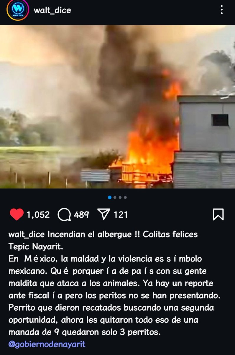 SunikaZuper's tweet photo. Maldita humanidad, merecemos la extinción. Por favor @GeraldinePonceM atención a este caso aberrante donde se ensañaron con animales inocentes que ningún mal hacían,no dejen que esto quede impune por favor!!!
@LetyVarela @NayaritGobierno @FiscaliaNayarit @NayaritFiscalia https://t.co/IQtQEj0vSK