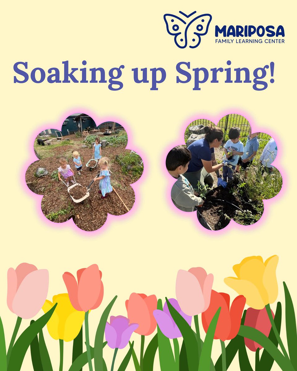 Soaking up all the sunshine, smiles, and springtime joy!💐☀️

Our little learners are making the most of this beautiful season—one adventure at a time.🌱

#SpringTime #MariposaFLC