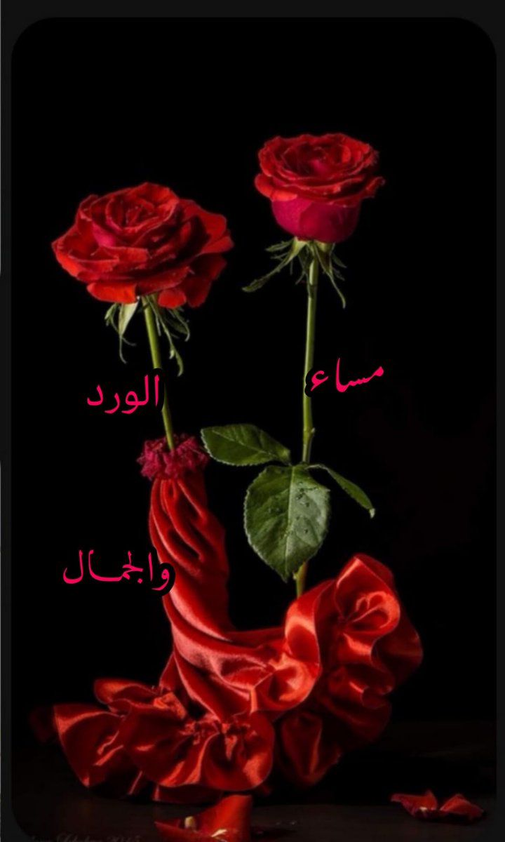 هناك أرواح عظيمه.. 
في ذاتها راقيه.. وفي مبادئها ساميه 
في بسمتها جميله وفي طلتها بهيه.. 
للخير معطيه.. وللغير محبه.. 
للامل نبض.. وللحب أرض.. 
تشتاقها في الحضور.. وتفتقدها في
الغياب.. يڪفي أنها تتمنى الخير
لڪل النااس ولا تؤذي أحدآ
مۡسَـ(🍀)ـاء الۣخـ(🌸)ـيۡݛ ✨✨