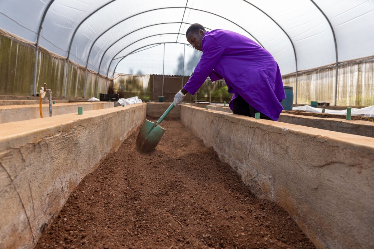 Breeding success is not merely a matter of luck; it requires collaboration &amp; updated infrastructure. 
During #CGIARScienceWeek, the #CropstoEndHunger project team &amp; beneficiaries showcased how it's transforming <a href="/CGIAR/">CGIAR</a> &amp; partners' breeding efforts.
bit.ly/3HccOBO <a href="/CIMMYT/">CIMMYT</a>